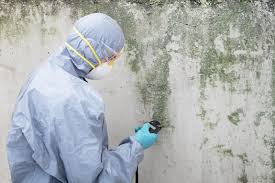  , USA Mold Removal Services Pros